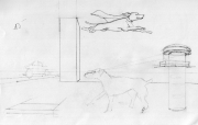 Walkies Study with Krypto