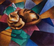 braques-cat-eve-riser-roberts