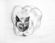 by-dufy-r-untitled