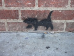 street-art-stencil-cat