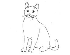 cat_line_drawing