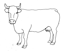 cow_line_drawing