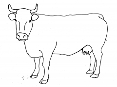 cow_line_drawing