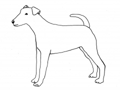 dog_line_drawing