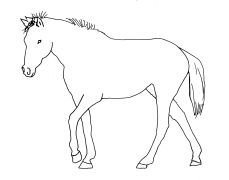 horse_line_drawing