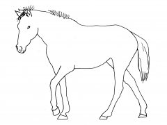 horse_line_drawing